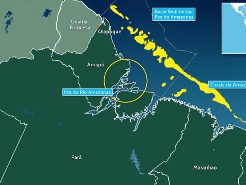 Imagem de capa da notícia: Foz do Amazonas: O Dilema entre o Desenvolvimento e o Grito de Socorro da Fauna