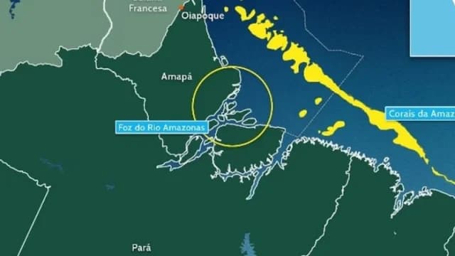 Foz do Amazonas: O Dilema entre o Desenvolvimento e o Grito de Socorro da Fauna